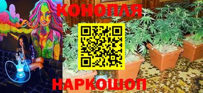 spice Канаш