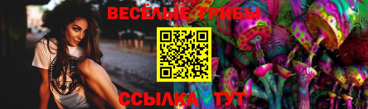 Галлюциногенные грибы Psilocybe  Вход с VPN  Улан-Удэ  Псилоцибиновые грибы прущие грибы 