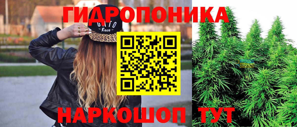 Конопля AK-47  Каннабис White Widow  Вход с VPN  Улан-Удэ  Конопля тримм 